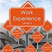 Work Experience Level 5